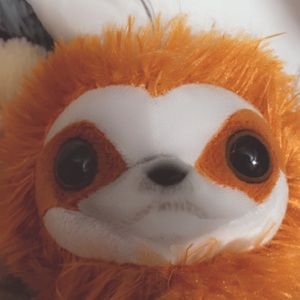 Meet your Posher, Bella